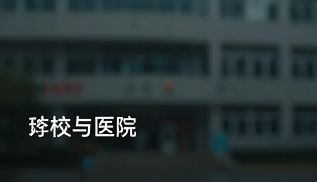 文案创作中如何解决实际问题与优化流程